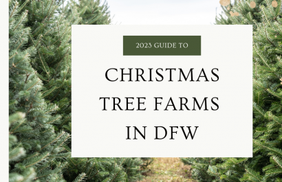 DFW Christmas Tree Farms to Visit in 2023